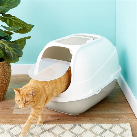 transparent hooded cat litter box